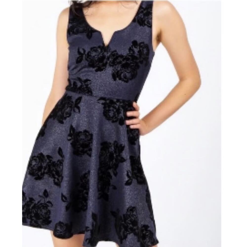 Francesca’s Blue Floral Dress Small Fit & Flare Velvet Burnout Party Mini